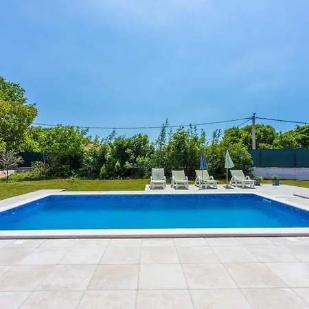 فيلة Deluxe Trget